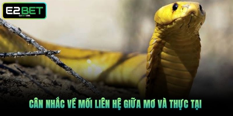 Cân nhắc về mối liên hệ giữa mơ và thực tại 
