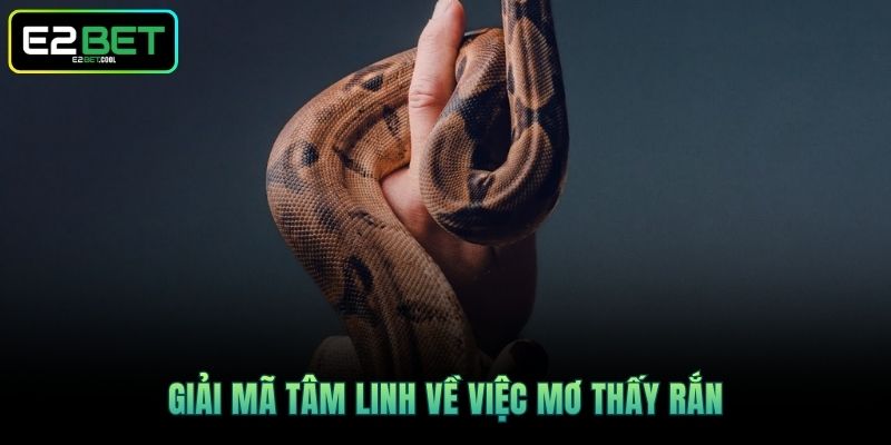 Giải mã tâm linh về việc mơ thấy rắn