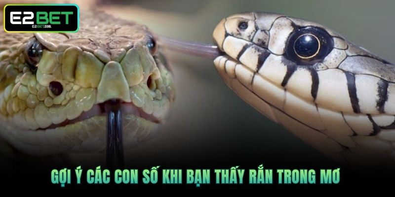 Gợi ý các con số khi bạn thấy rắn trong mơ 